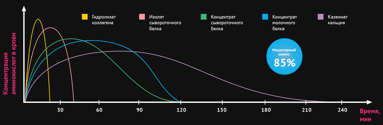 Временной график действия Мультипротеина Energy PRO